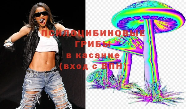 трава Армянск