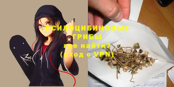 сатива Балабаново