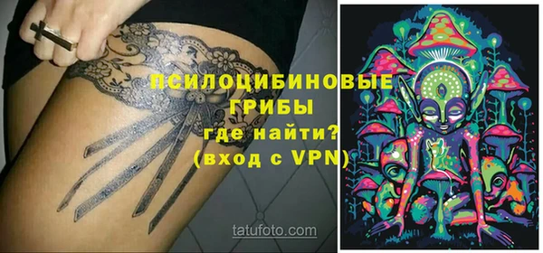 дживик Балахна