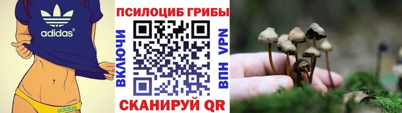 Галлюциногенные грибы MAGIC MUSHROOMS  Губаха 