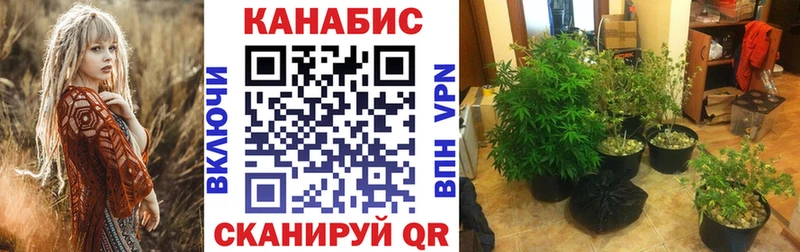 закладки маркетплейс телеграм МАРИХУАНА Amnesia Губаха